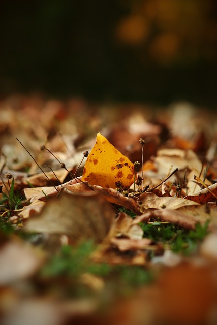 者都得到了 者都得到了