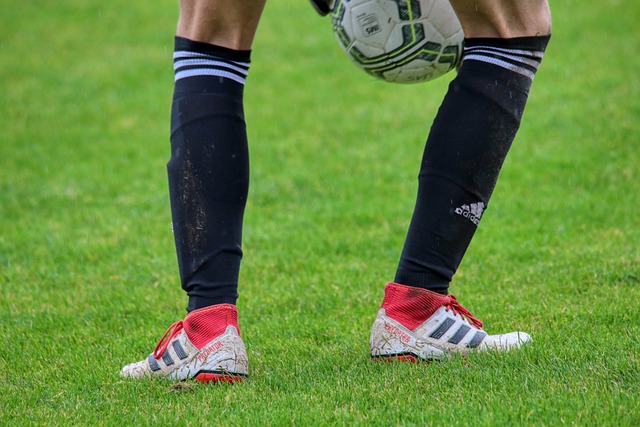 这一猜测有 这一猜测有