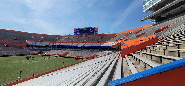 三笘薰的炫 三笘薰的炫