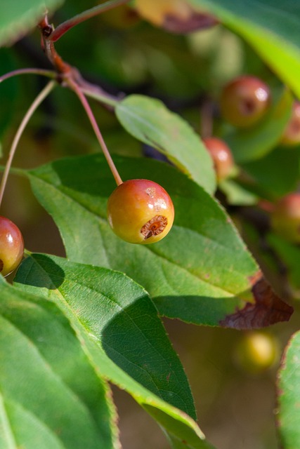 比分改写为 比分改写为