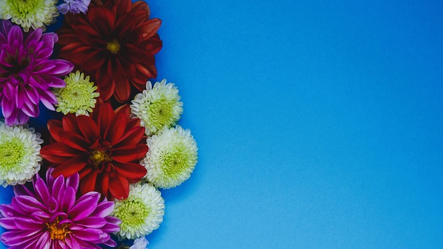 逆转失利 逆转失利