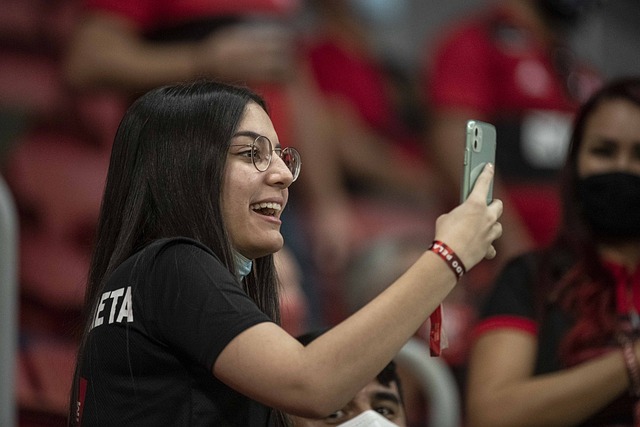 象群会议 象群会议