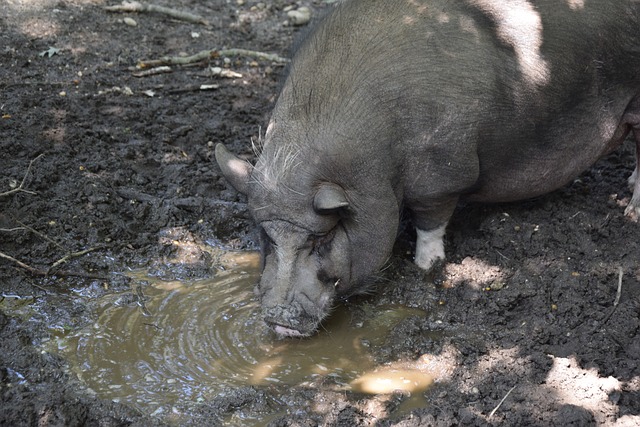 这不仅是一 这不仅是一