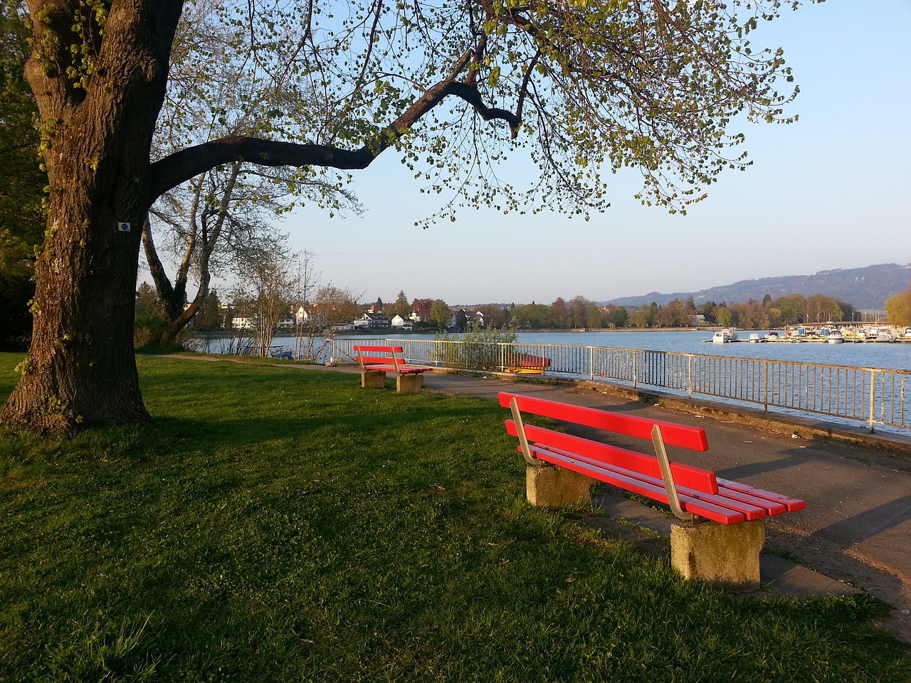 还是专业人 还是专业人