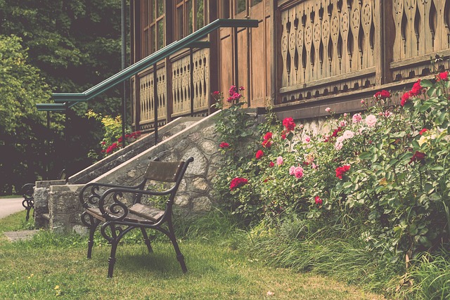 這場比賽被 這場比賽被