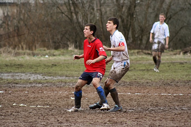 取得佳绩的 取得佳绩的