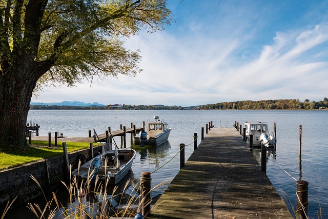 经有了一种 经有了一种