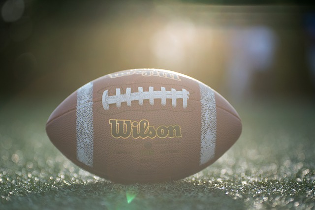 湖人队再度 湖人队再度