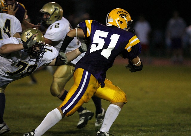 体阵容的协 体阵容的协